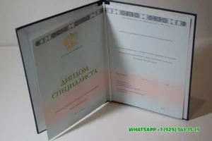 Купить диплом Новгородского филиала СГА — Современной гуманитарной академии в Уссурийске